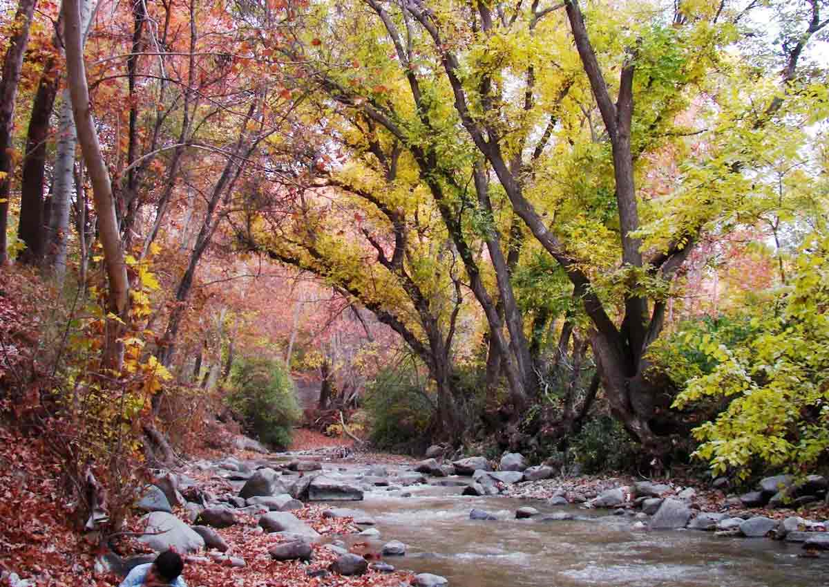 تصاویر و ویدیوهای برغان